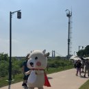 제37회 고양행주문화제 | 제 37회 고양행주문화제 서포터즈 활동