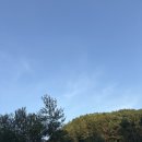 내리계곡 솔밭캠핑장 | 강원도 아이와 함께 가기좋은 캠핑장 영월내리계곡솔밭캠핑장