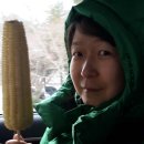 캠핑노리