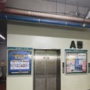 상동역2번출구 | [경기/부천상동] 부천상동미용실 | 유진부원장 | 애쉬브라운 톤정리, 전체염색 후기 | '로와이 상동역점'