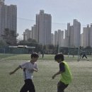 민족사관태권도 네이버블로그