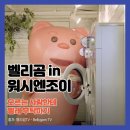 워시벨리 이미지