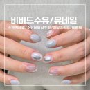 뿌리네 애견샵 | 수유역 네일 샵 추천 26년 이달의아트 역 도보1분컷 샵인샵[비비드수유/유네일]