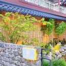 온천천카페거리(느티나무유치원 앞) 이미지