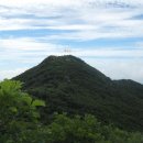정고개농장 Daum카페