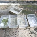 유성크리닝 이미지