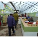 옹골농장 이미지