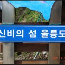 (주)공룡투어 이미지