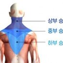 우리동네 피티(PT)