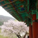 화순 협선루(挾仙樓)2