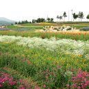 정구농장 이미지