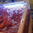 대게좋은날&모텔 이미지