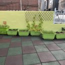 구립아이솔어린이집 이미지