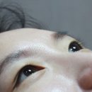 도도안속눈썹 네이버블로그