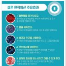 힐링&체온다이어트