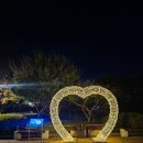GS25보문중앙점 | 경주 야경 투어 미디어아트 3곳 첨성대 대릉원 보문 단지