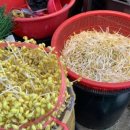 대송상회 이미지