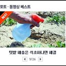 촌부일기 이미지