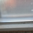 세세 | 오산 단독주택 이사청소 주택청소업체 세세한 마무리 현장후기