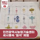 인천광역시 농업기술센터 | 인천광역시농업기술센터, 세시풍속 &#39;칠석&#39; 체험