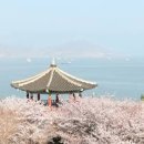 전남 여수 벚꽃 명소 자산공원 여수 해상케이블카 자산탑승장 돌산공원 이미지