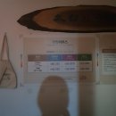 만장하우스 이미지