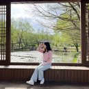 (주)세다온라인