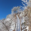 12월 28일 토요당일 - 100대명산 영남알프스 가지산/운문산 설경산행 신청안내 이미지