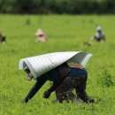 신성종합가스 이미지