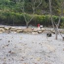 은하수 관광농원 이미지