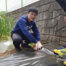 선은농장(1) 이미지