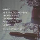 붕어얌얌 이미지