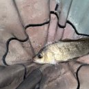 백용낚시터 이미지