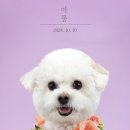 진관-044 이미지