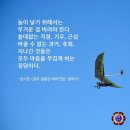 소중한 선물.101세 의사.아랑고고장구 이미지