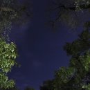 (기초) 성인영어회화 이미지