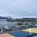 삼천포전통수산시장 | <삼천포 전통수산시장 >활어회 도매센터 아지횟집에서 회 뜬 후기 내돈내산