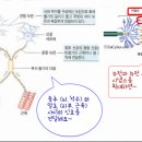 신경전달물질- 세로토닌, 노르아드레날린, 도파민 이미지