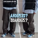 니도 | 디키즈 더블니85283 루즈핏 워크팬츠 실착 리뷰 및 사이즈 후기