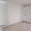 털보벽지 이미지