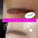 더커버 | (내돈내산) 컨실러 추천 🎨ㅣ 더샘 커버 퍼펙션 트리플 팟 컨실러 후기