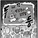 코코밍 이미지