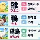 새이름 19-21 병아리, 오리, 거위 이미지