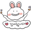 신디샵