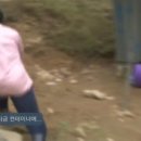 보미사 네이버블로그