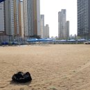 이의초등학교 이미지