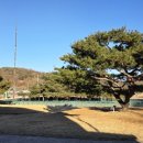 삼강식물원