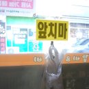 상진축산 - 동구 | 상진축산