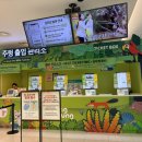 아기동물 | 영등포 주렁주렁 12개월 아기 첫 동물교감 체험 후기 - 주차꿀팁, 먹이체험, 할인 총정리