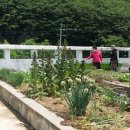 설봉경로당 이미지